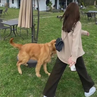 仙王的日常生活第三季