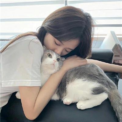 森林孤影